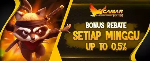 Cashback & Rebate Slot Harian 0.5% promotion